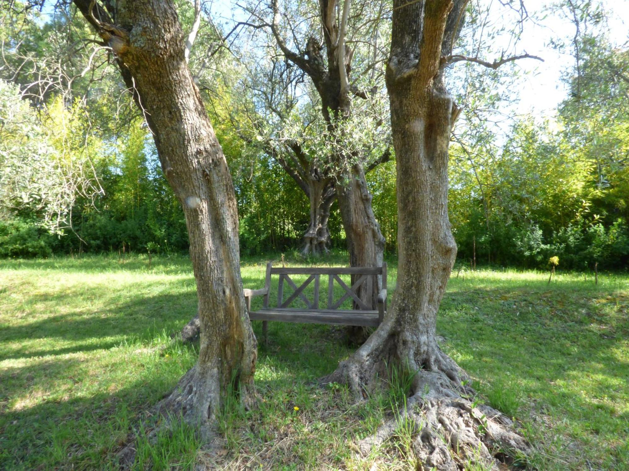 Chateauneuf-Grasse Apartment Cezanne With Heated Pool And Private Garden מראה חיצוני תמונה