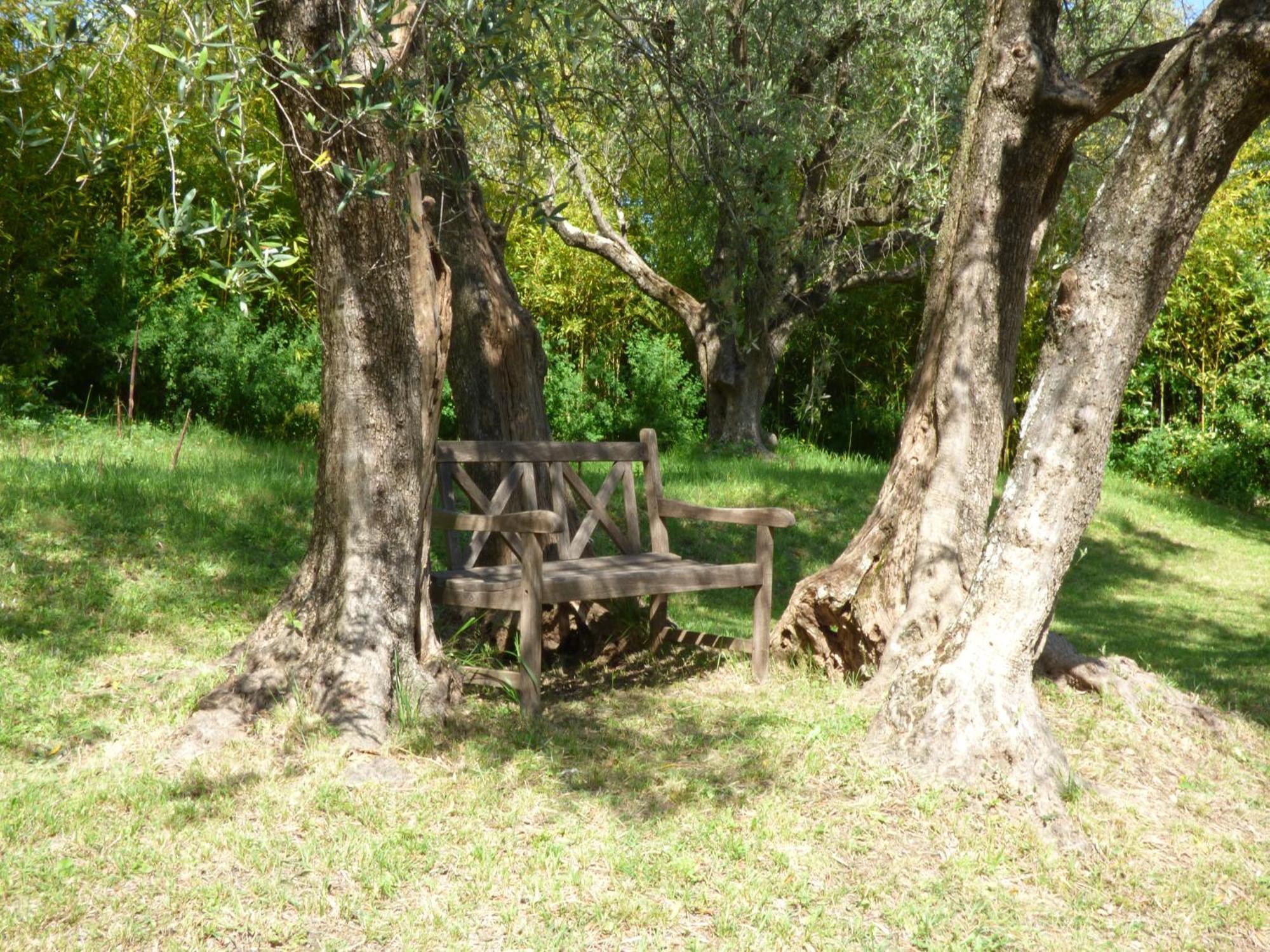 Chateauneuf-Grasse Apartment Cezanne With Heated Pool And Private Garden מראה חיצוני תמונה
