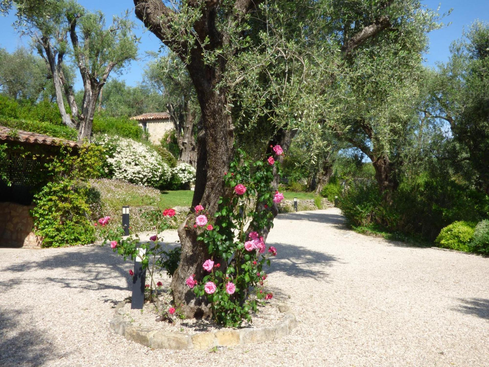 Chateauneuf-Grasse Apartment Cezanne With Heated Pool And Private Garden מראה חיצוני תמונה