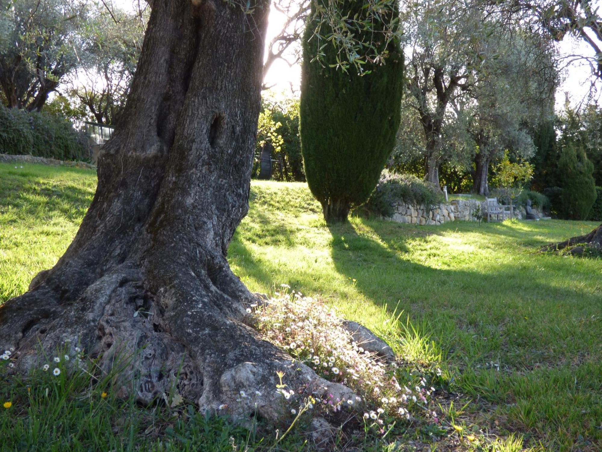 Chateauneuf-Grasse Apartment Cezanne With Heated Pool And Private Garden מראה חיצוני תמונה